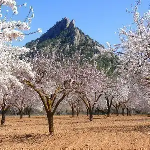 Terra Alta, Cataluña, España - una de las mejores zonas para rutas off‑road