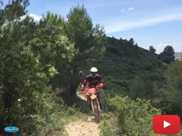 Single-track, June 2018