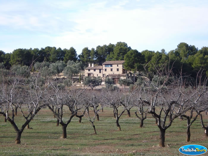 House and almond trees