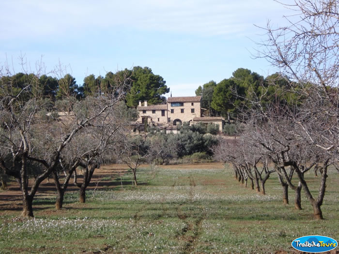 Farmhouse in springtime