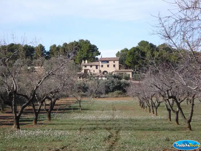 Farmhouse in springtime