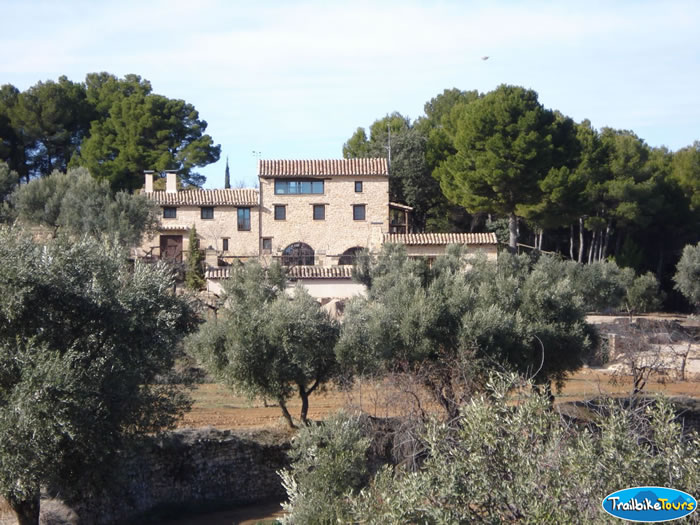 Olive terraces in front of farmhouse