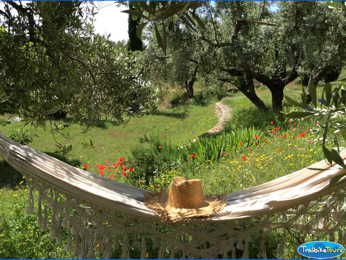 Hammock in the garden